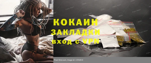 шишки Богородицк