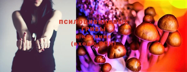 шишки Богородицк