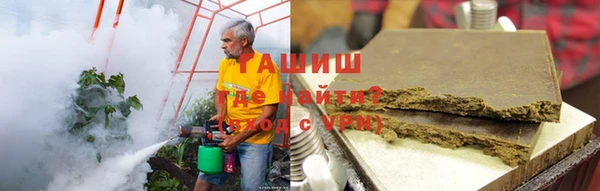 шишки Богородицк