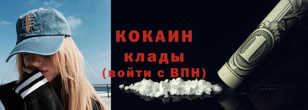 твердый Богородск