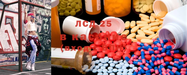 шишки Богородицк
