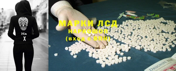 шишки Богородицк