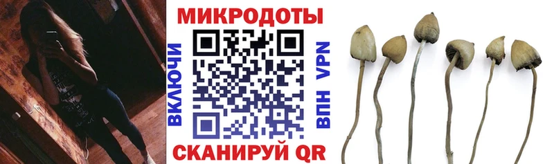 Псилоцибиновые грибы Magic Shrooms  Купить где  Нариманов 